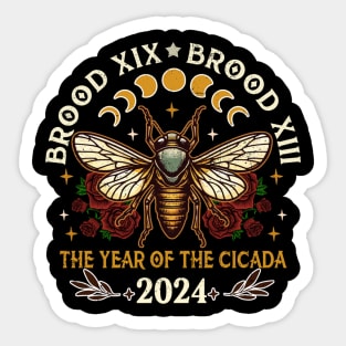 Cicada Lover Brood XIX Brood XIII Year Of The Cicada 2024 Sticker